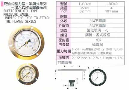 中壢五金,桃園五金,五金批發,五金行,氣動油壓工具類,半鋼埋入式附法蘭邊充油式壓力錶