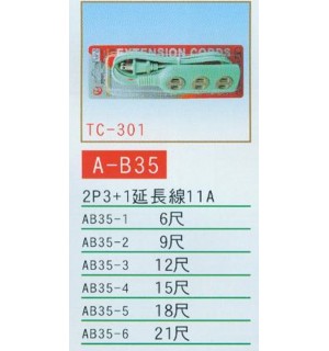 2P3+1延長線11A